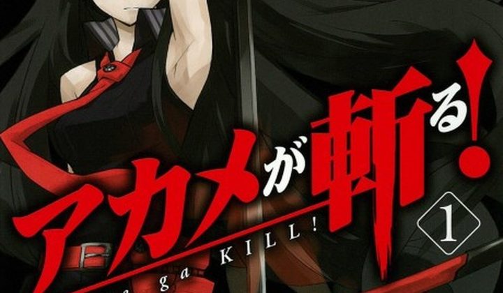Akame ga Kill!